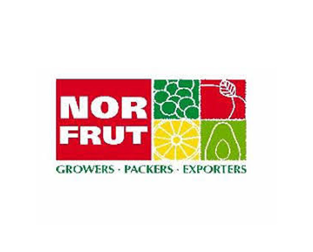 Diseño de plantas