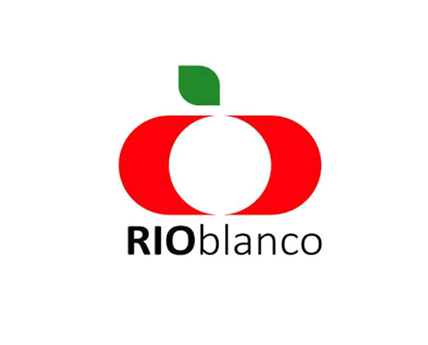 Diseño de plantas