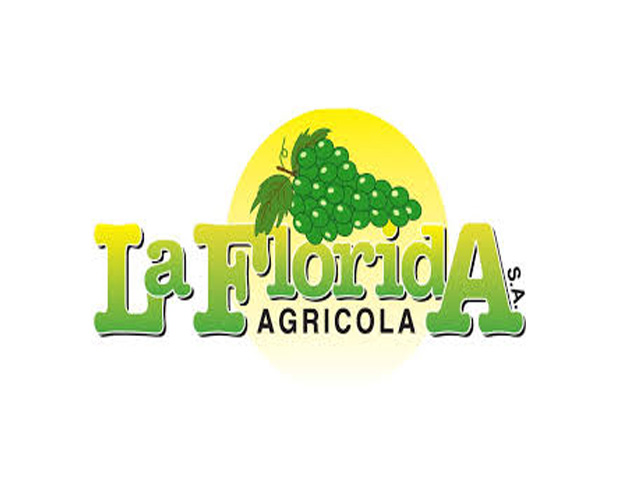 Diseño de plantas