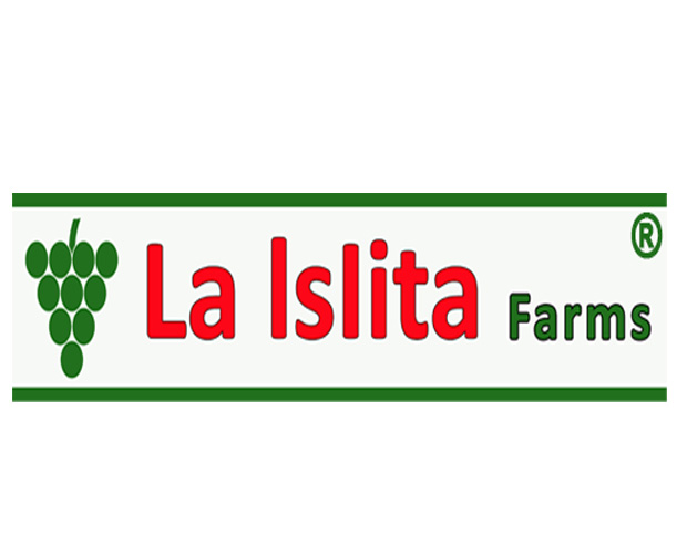 Diseño de plantas