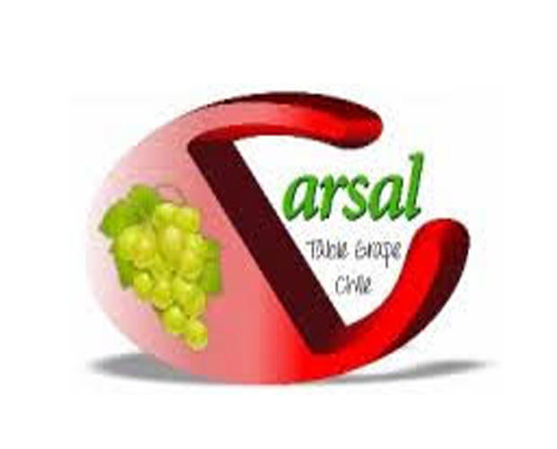 Diseño de plantas